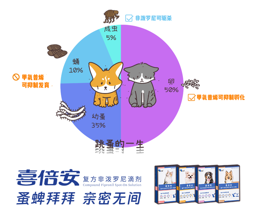 跳高动物冠军图片_动物跳高冠军图_跳高动物冠军图片高清