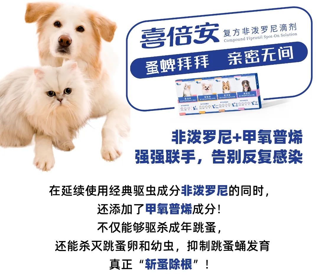 跳高动物冠军图片高清_跳高动物冠军图片_动物跳高冠军图