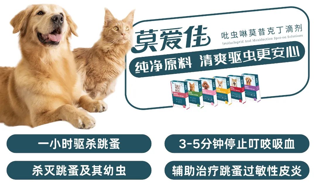 跳高动物冠军图片_跳高动物冠军图片高清_动物跳高冠军图