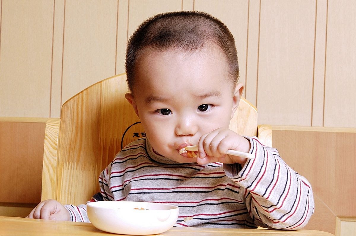 儿童营养餐书籍推荐_儿童营养晩餐_《儿童营养餐书》