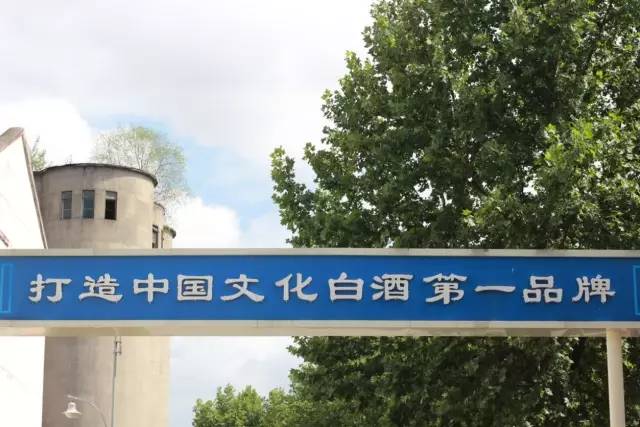 来吧冠军举重2_举重冠军后来_举重冠军去向