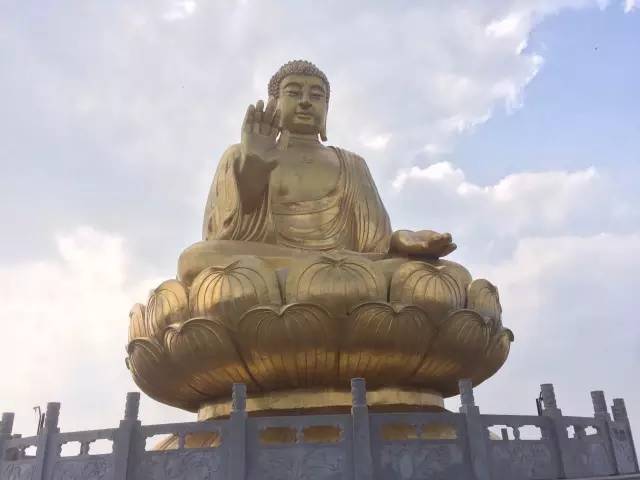 举重冠军去向_举重冠军后来_来吧冠军举重2