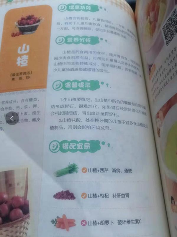 儿童营养餐一本就够电子版_儿童营养餐怎么写_《儿童营养餐书》