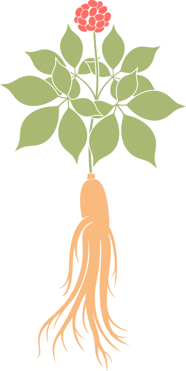 备孕教育_亚健康备孕好吗_“备孕”