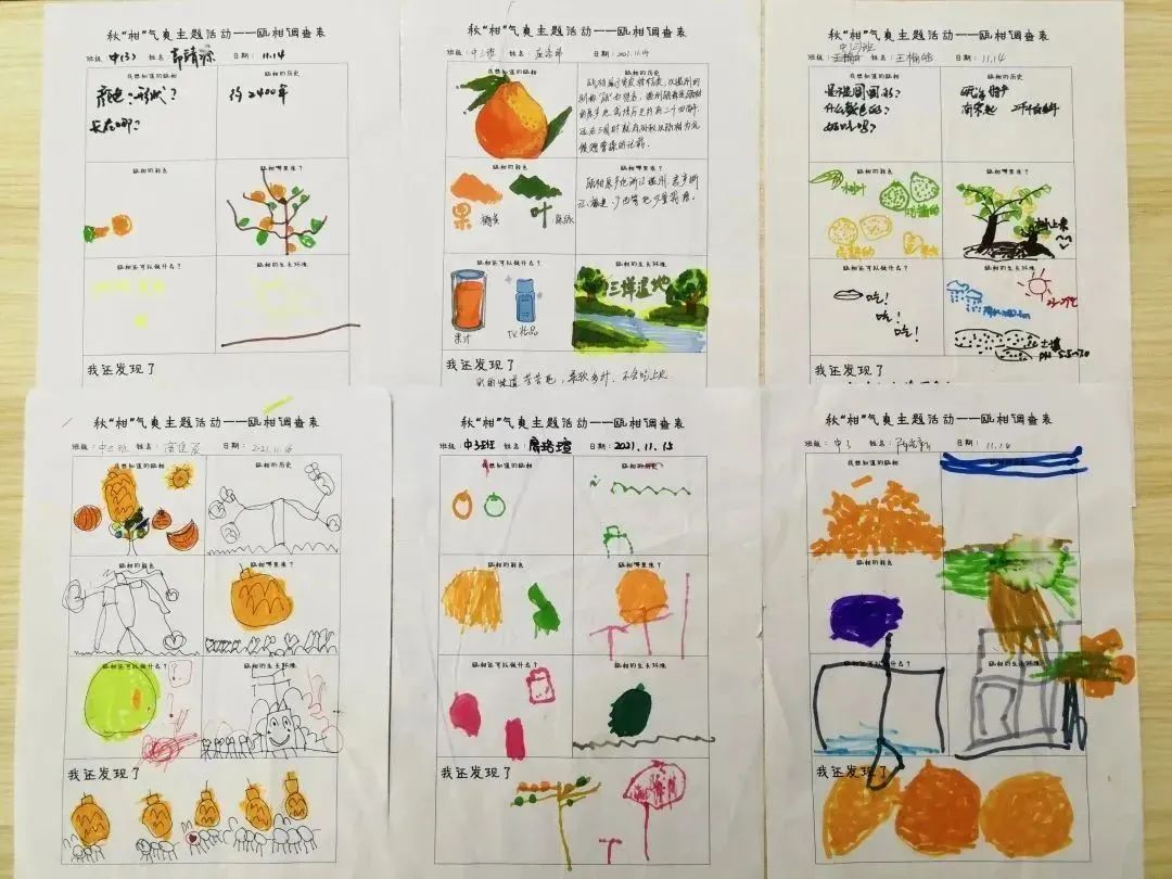 户外求生课程培训_趣味探索户外求生活动教案_户外求生技能教案