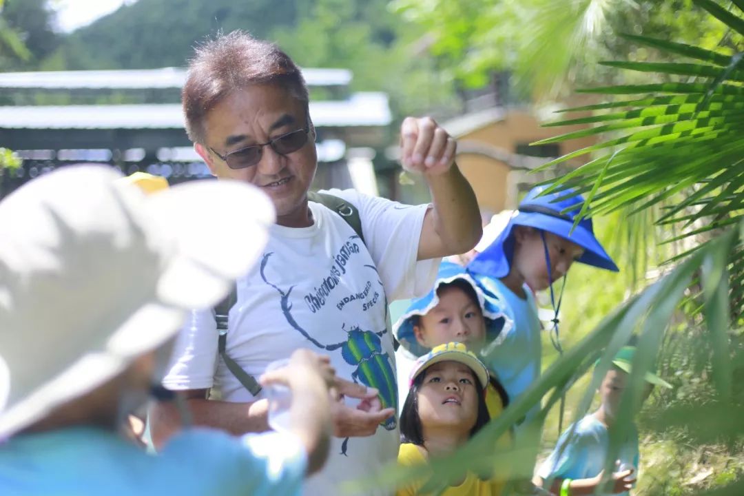户外求生课程培训_幼儿园野外求生教案_趣味探索户外求生活动教案