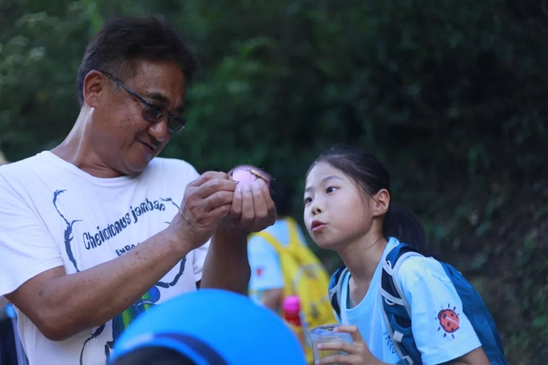 趣味探索户外求生活动教案_幼儿园野外求生教案_户外求生课程培训
