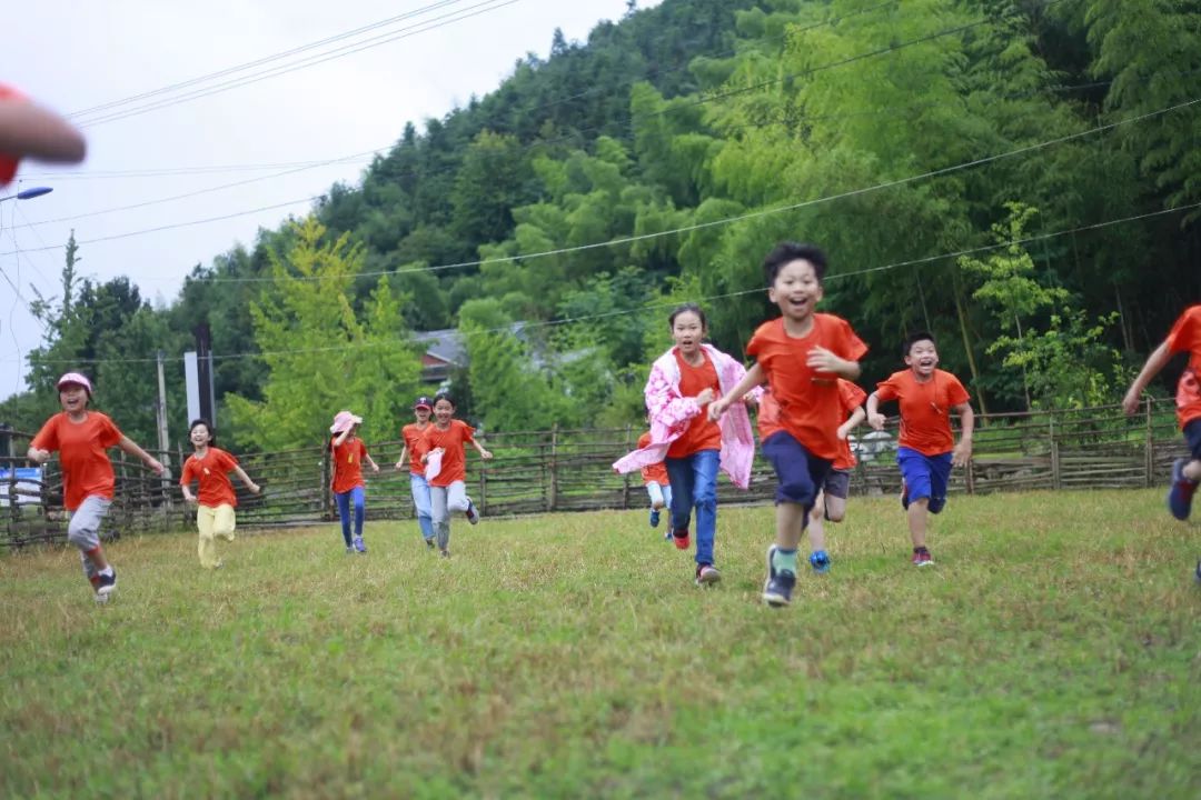 幼儿园野外求生教案_趣味探索户外求生活动教案_户外求生课程培训