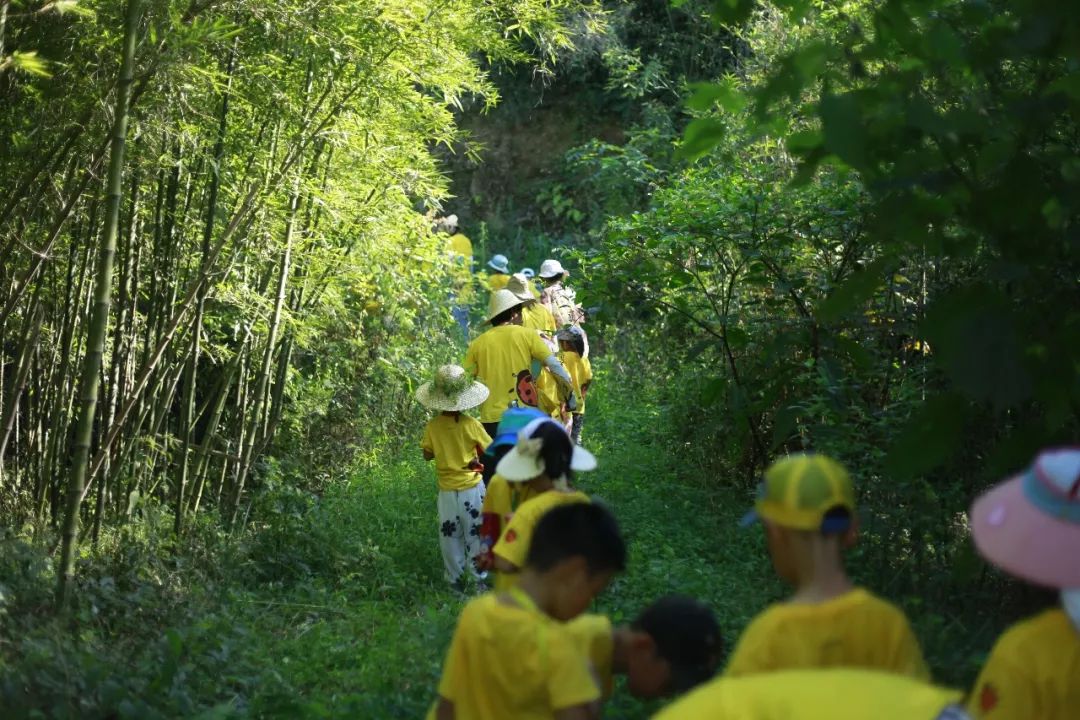 户外求生课程培训_趣味探索户外求生活动教案_幼儿园野外求生教案