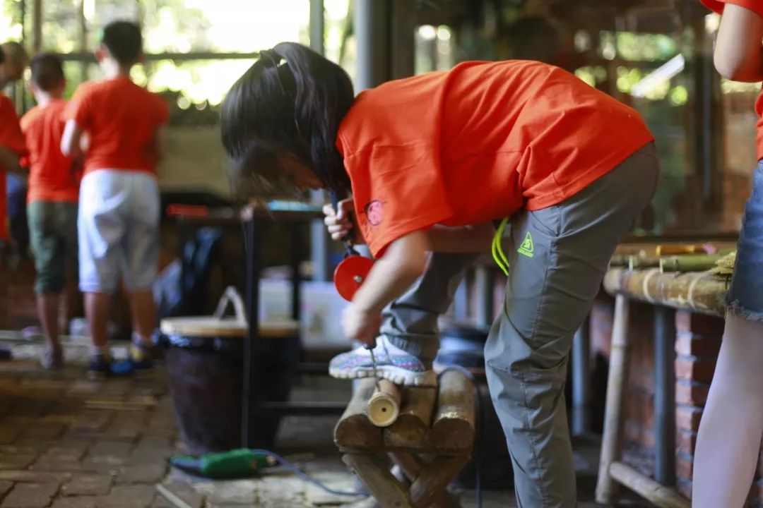 幼儿园野外求生教案_户外求生课程培训_趣味探索户外求生活动教案