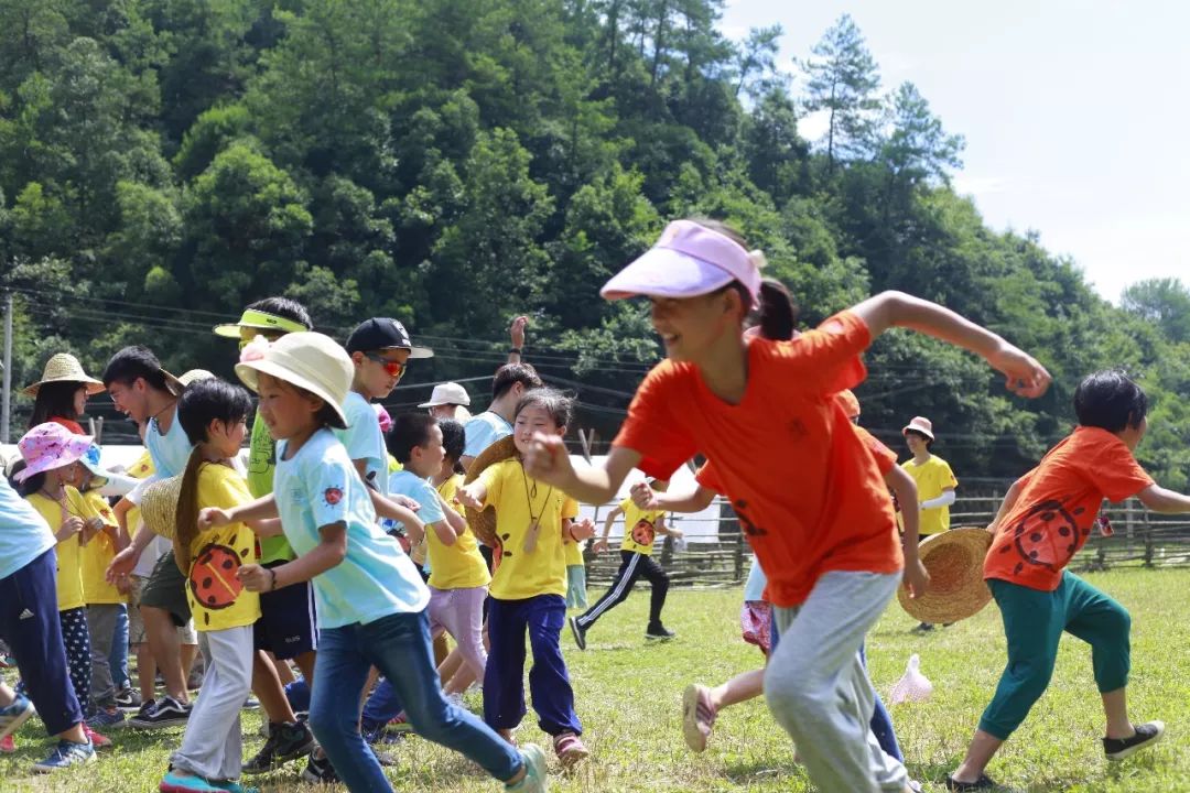 趣味探索户外求生活动教案_幼儿园野外求生教案_户外求生课程培训