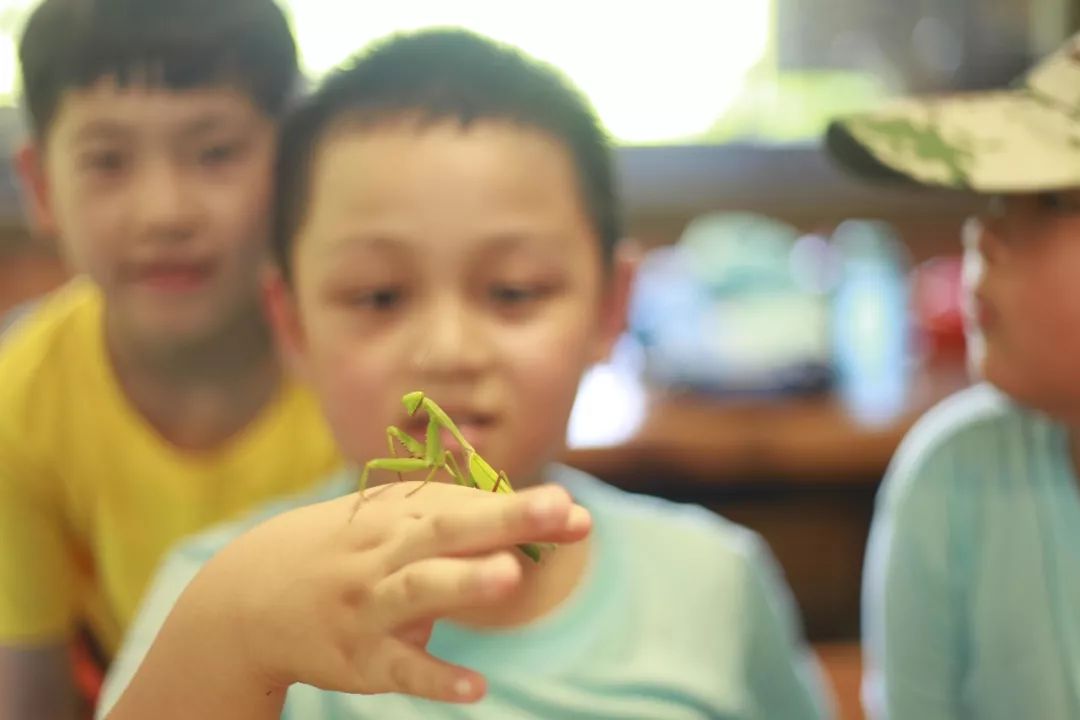幼儿园野外求生教案_趣味探索户外求生活动教案_户外求生课程培训