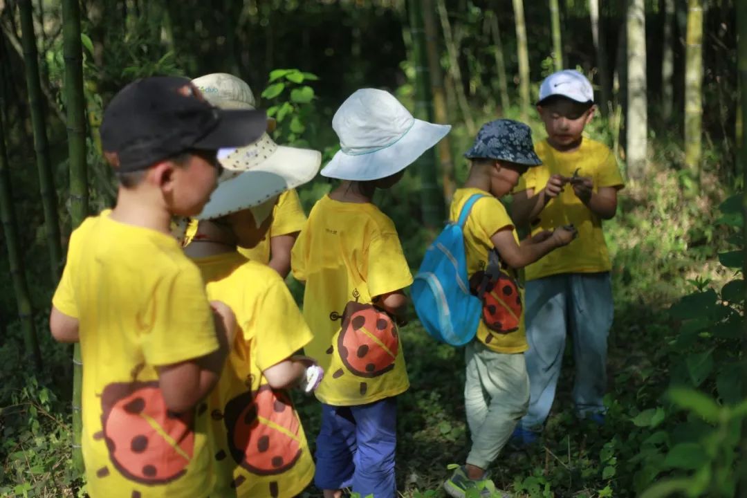 幼儿园野外求生教案_趣味探索户外求生活动教案_户外求生课程培训