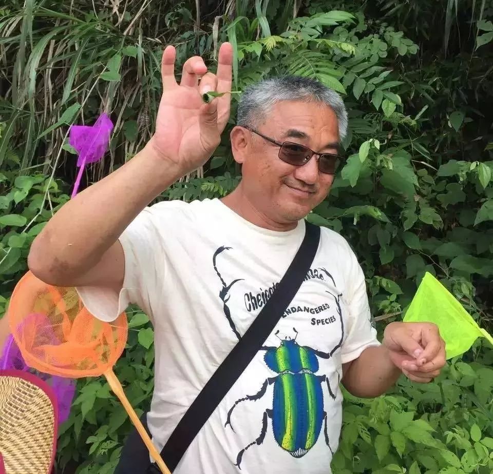 幼儿园野外求生教案_户外求生课程培训_趣味探索户外求生活动教案