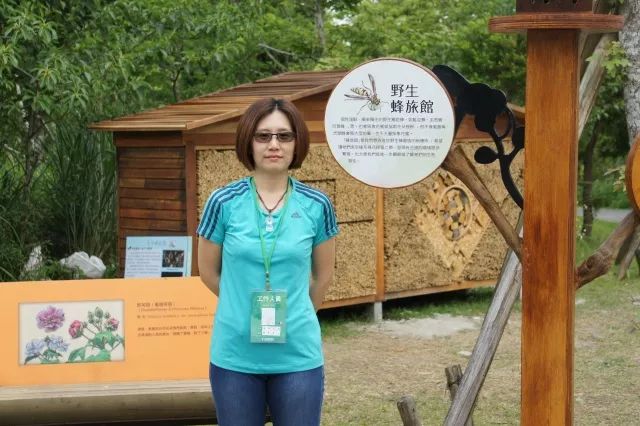 趣味探索户外求生活动教案_户外求生课程培训_幼儿园野外求生教案