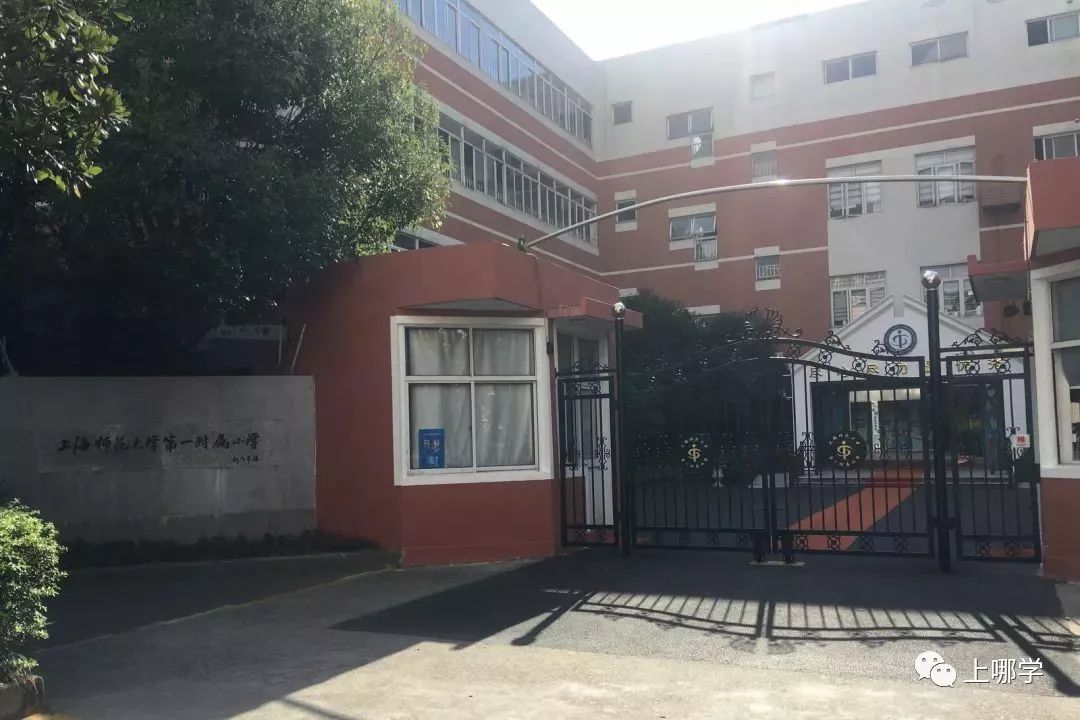 向阳篮球俱乐部_向阳篮球队_向阳小学篮球组冠军是谁