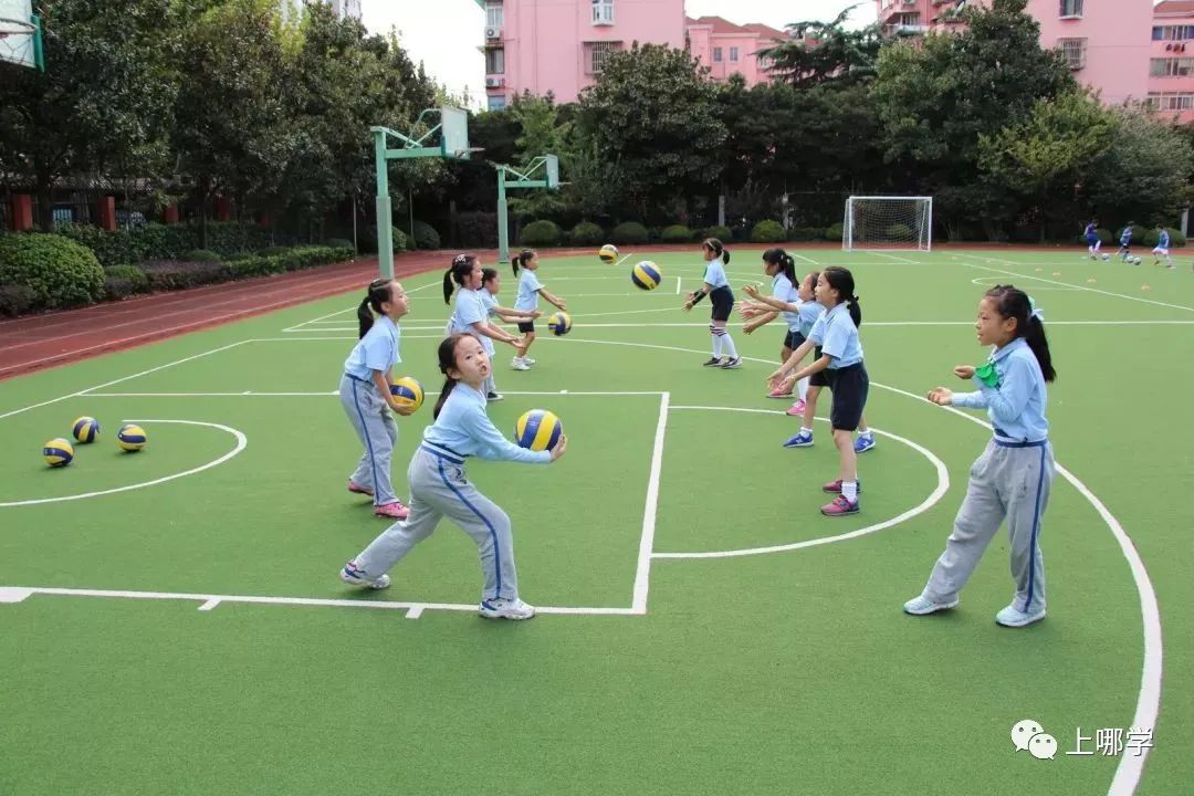 向阳小学篮球组冠军是谁_向阳篮球俱乐部_向阳篮球队