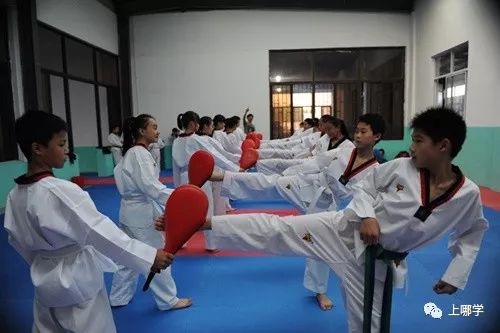 向阳篮球队_向阳小学篮球组冠军是谁_向阳篮球俱乐部