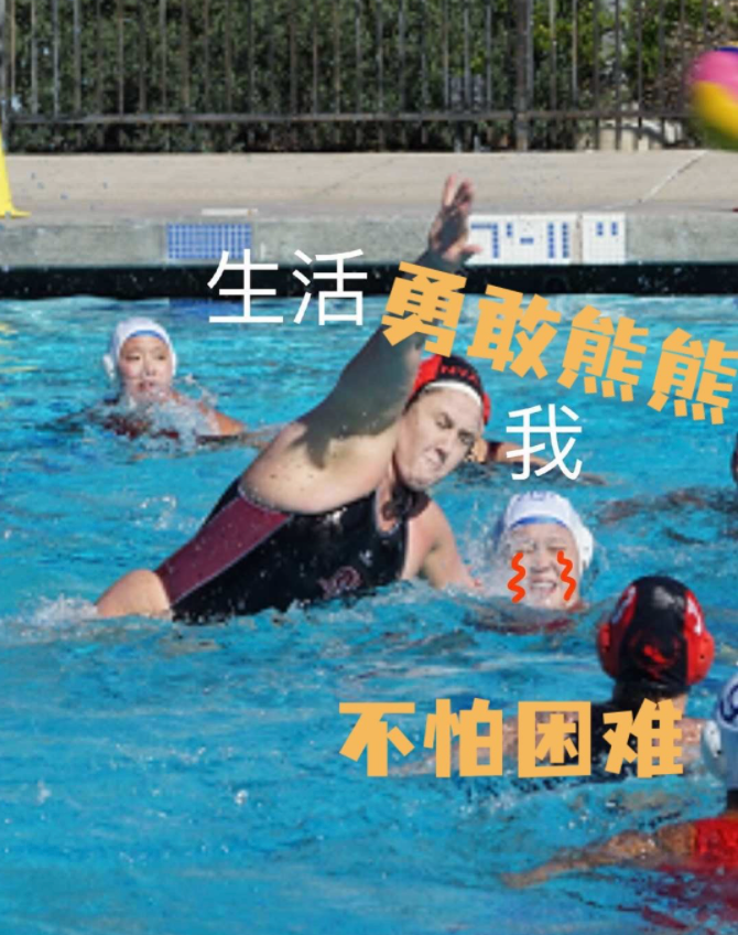 击剑表情包含义_击剑表情包mc_中国击剑冠军表情包可爱