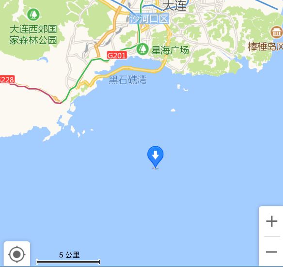 海豹鲨鱼游泳技巧_游泳海豹技巧鲨鱼视频_游泳的海豹